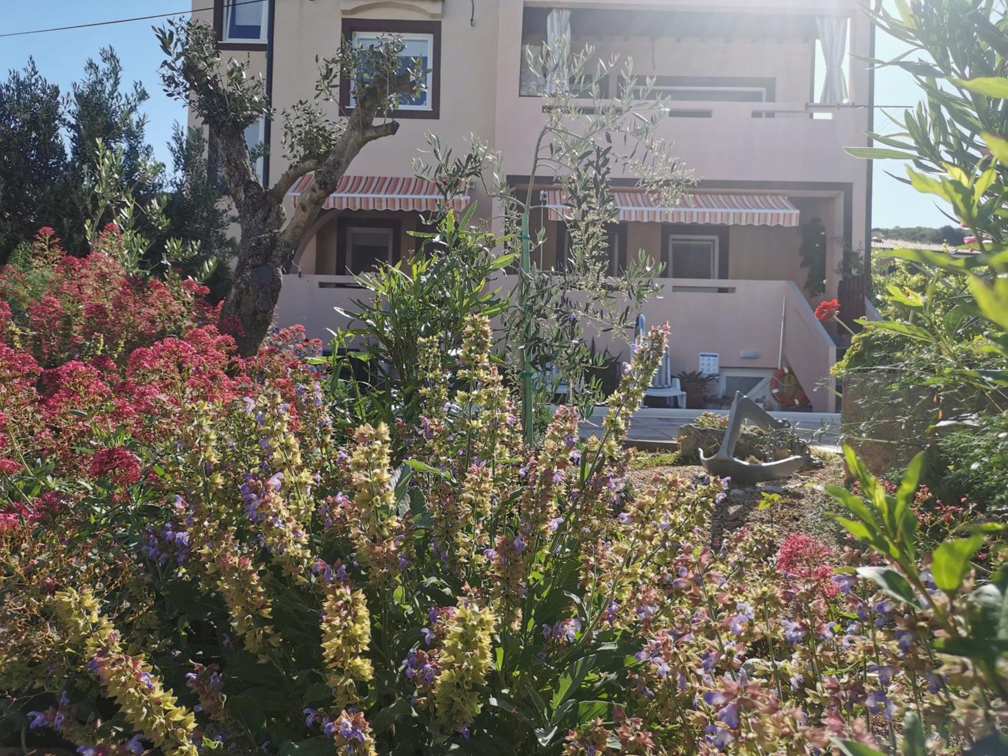 Apartman Franolic פונאנט מראה חיצוני תמונה
