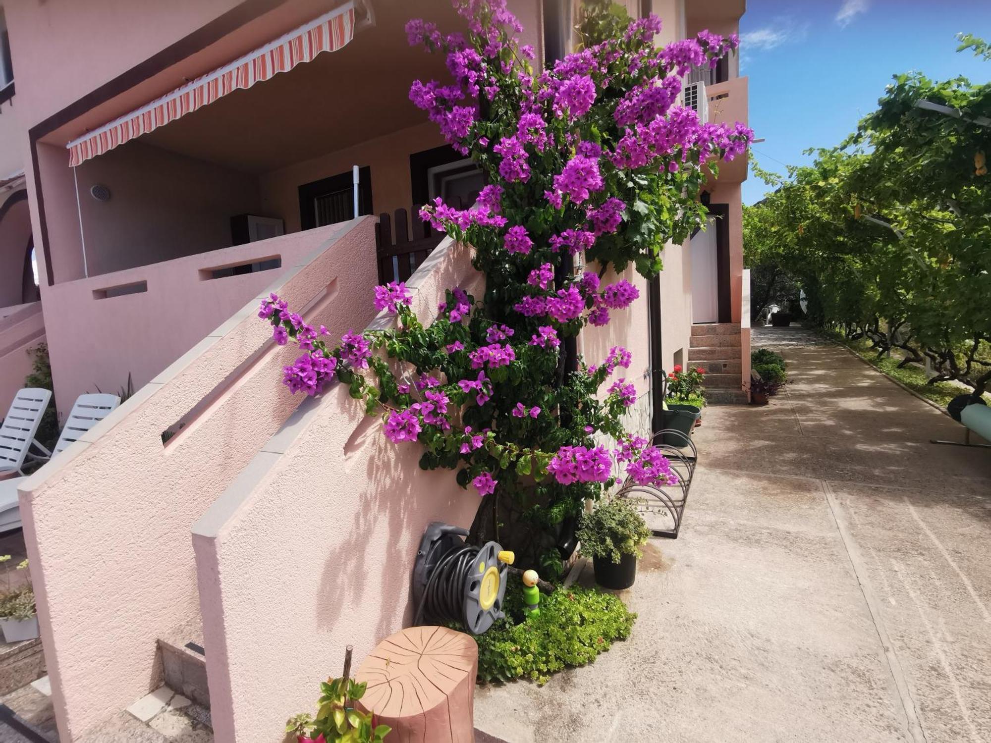 Apartman Franolic פונאנט מראה חיצוני תמונה